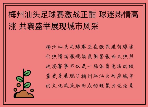 梅州汕头足球赛激战正酣 球迷热情高涨 共襄盛举展现城市风采