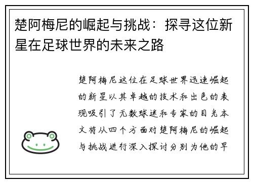 楚阿梅尼的崛起与挑战：探寻这位新星在足球世界的未来之路
