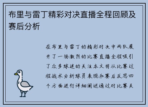 布里与雷丁精彩对决直播全程回顾及赛后分析