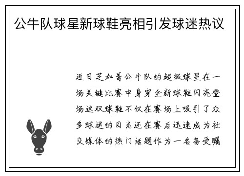公牛队球星新球鞋亮相引发球迷热议