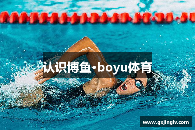 认识博鱼·boyu体育